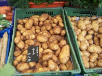 Kartoffeln
