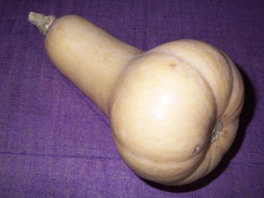 ButternutKl