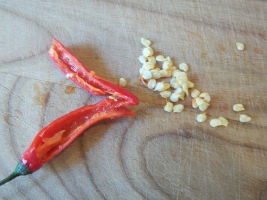 ChiliEntkernen