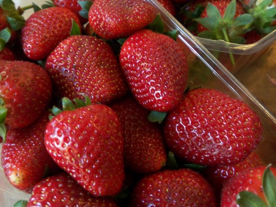 Erdbeeren
