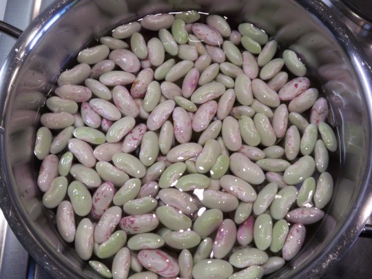 Borlotti_Topf