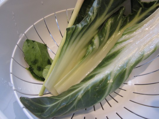 Pak Choi sieht gut aus und schmeckt auch gut.