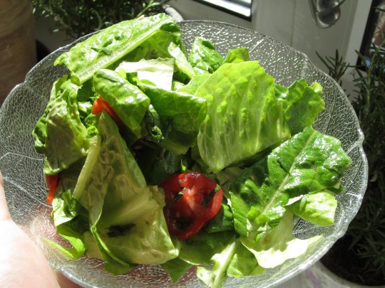Knackig & saftig: Romana-Tomaten-Salat