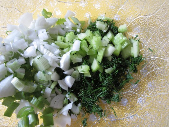 Stangensellerie und Frühlingszwiebeln