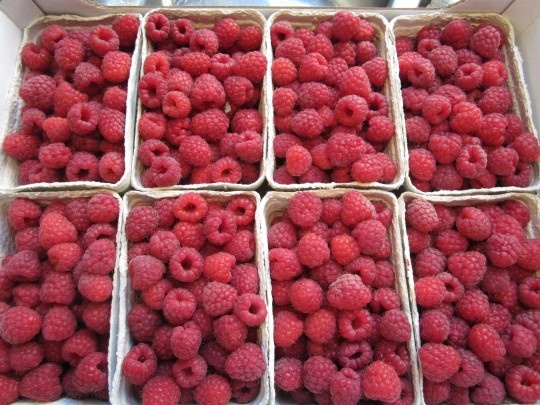 himbeeren13