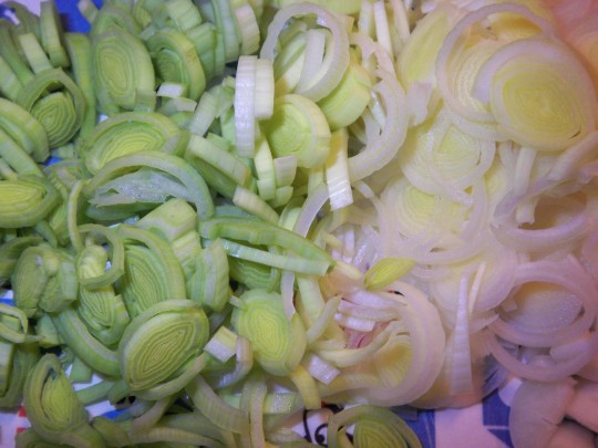 Lauch passt gut in ein Curry