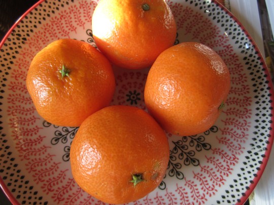 Weihnachtlich: unsere Clementinen! Seehen Sie zu, dass Sie welche ohne Kerne bekommen;-)