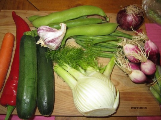 Frisches Gemüse für unsere Minestrone