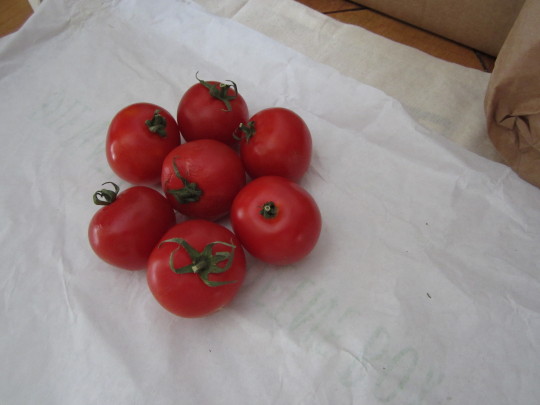 eine Hand voll Tomaten