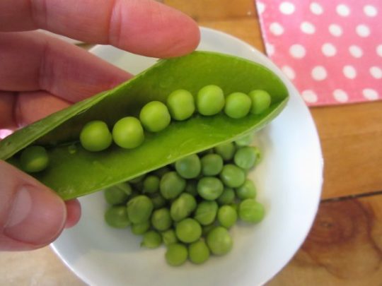 Erbsen pulen macht immer noch so viel Spaß wie früher, als wir noch ganz klein waren...