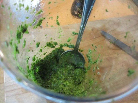 ... bis ein feines Pesto entsteht